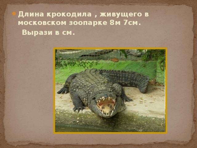 Длина крокодила , живущего в московском зоопарке 8м 7см.  Вырази в см. 