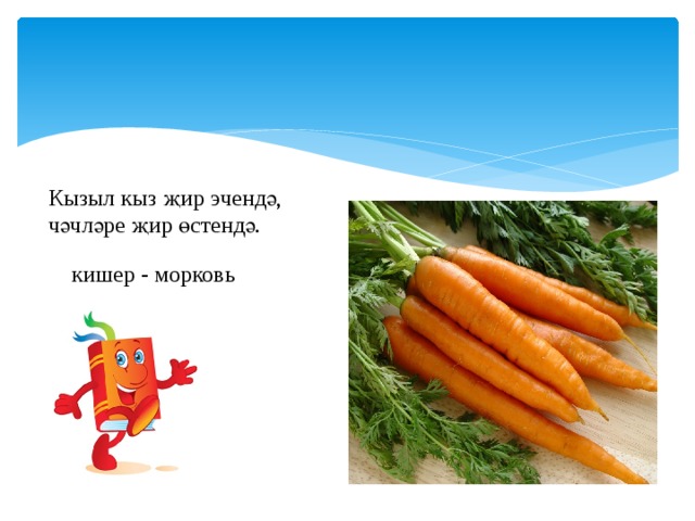 Кызыл кыз җир эчендә, чәчләре җир өстендә. кишер - морковь 