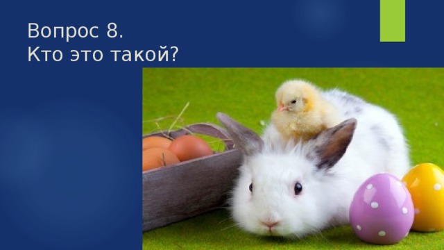 Вопрос 8.  Кто это такой? 