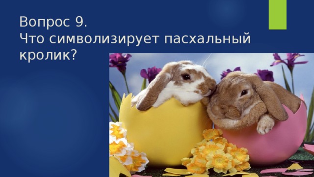 Вопрос 9.  Что символизирует пасхальный кролик? 