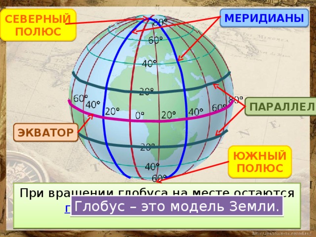МЕРИДИАНЫ СЕВЕРНЫЙ ПОЛЮС ПАРАЛЛЕЛИ ЭКВАТОР ЮЖНЫЙ ПОЛЮС Линии, расположенные горизонтально, называются параллелями . Эти линии разные по длине. У полюсов это маленькие колечки. При вращении глобуса на месте остаются полюса : северный и южный . Главный пояс Земли – это экватор . Его называют «самая длинная параллель» Линии, расположенные вертикально, называются меридианы . Эти линии соединяются в одну точку на полюсах. Глобус – это модель Земли.  