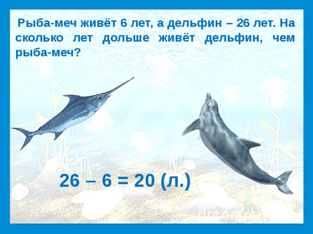 Рыба-меч живёт 6 лет, а дельфин – 26 лет. На сколько лет дольше живёт дельфин, чем рыба-меч?   26 – 6 = 20 (л.)