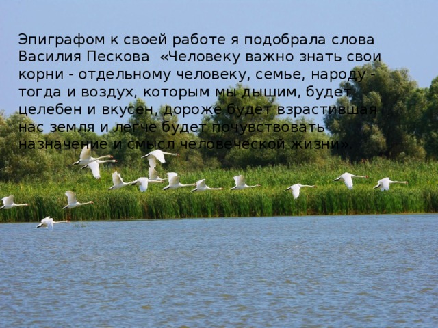 Эпиграфом к своей работе я подобрала слова Василия Пескова «Человеку важно знать свои корни - отдельному человеку, семье, народу - тогда и воздух, которым мы дышим, будет целебен и вкусен, дороже будет взрастившая нас земля и легче будет почувствовать назначение и смысл человеческой жизни». 