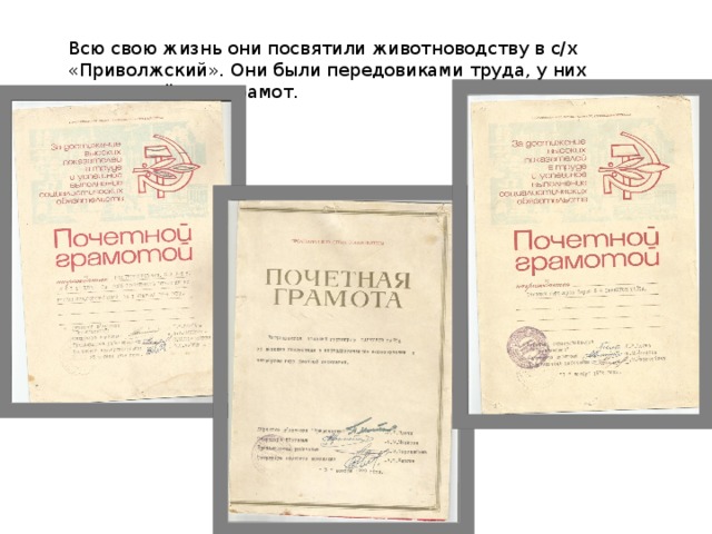 Всю свою жизнь они посвятили животноводству в с/х «Приволжский». Они были передовиками труда, у них много почётных грамот. 