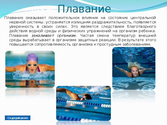 Презентация по физкультуре на тему "Мое спортивное древо"