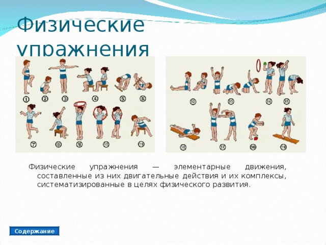 Виды упражнений и примеры