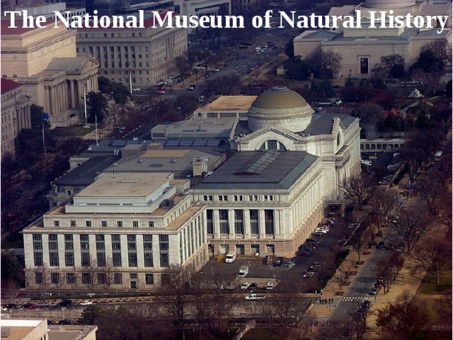 The National Museum of Natural History 