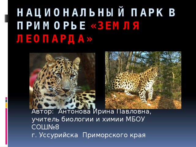 Национальный парк в Приморье «Земля леопарда»       Автор: Антонова Ирина Павловна, учитель биологии и химии МБОУ СОШ№8 г. Уссурийска Приморского края 