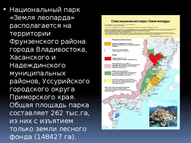 Земля леопарда национальный парк презентация