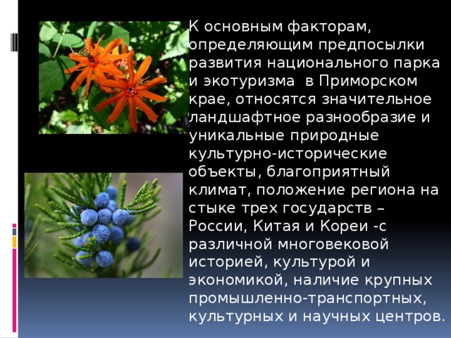 К основным факторам, определяющим предпосылки развития национального парка и экотуризма в Приморском крае, относятся значительное ландшафтное разнообразие и уникальные природные культурно-исторические объекты, благоприятный климат, положение региона на стыке трех государств – России, Китая и Кореи -с различной многовековой историей, культурой и экономикой, наличие крупных промышленно-транспортных, культурных и научных центров. 