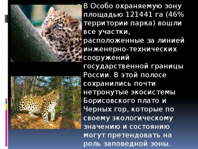 В Особо охраняемую зону площадью 121441 га (46% территории парка) вошли все участки, расположенные за линией инженерно-технических сооружений государственной границы России. В этой полосе сохранились почти нетронутые экосистемы Борисовского плато и Черных гор, которые по своему экологическому значению и состоянию могут претендовать на роль заповедной зоны. 