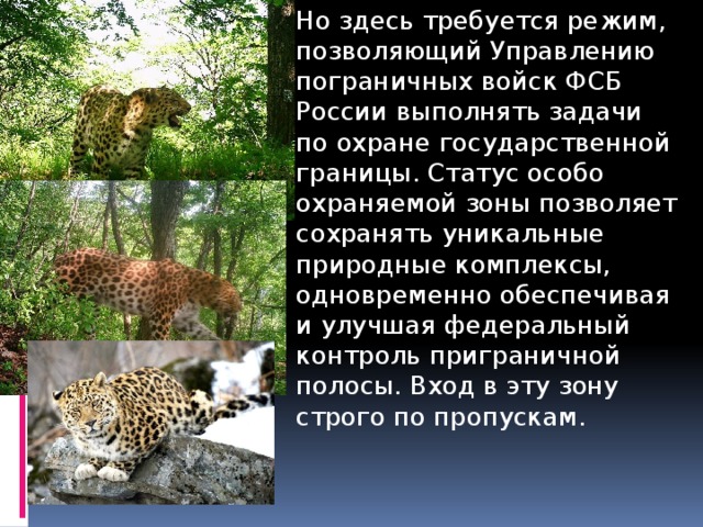 Но здесь требуется режим, позволяющий Управлению пограничных войск ФСБ России выполнять задачи по охране государственной границы. Статус особо охраняемой зоны позволяет сохранять уникальные природные комплексы, одновременно обеспечивая и улучшая федеральный контроль приграничной полосы. Вход в эту зону строго по пропускам. 