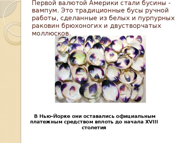 Первой валютой Америки стали бусины - вампум. Это традиционные бусы ручной работы, сделанные из белых и пурпурных раковин брюхоногих и двустворчатых моллюсков.    В Нью-Йорке они оставались официальным платежным средством вплоть до начала XVIII столетия 