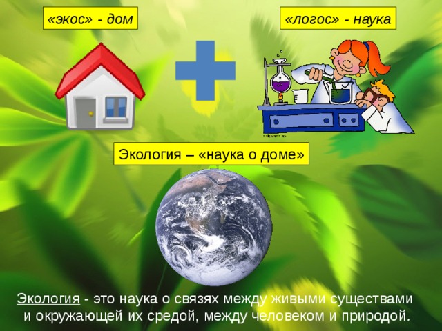 «экос» - дом «логос» - наука Экология – «наука о доме» Экология - это наука о связях между живыми существами и окружающей их средой, между человеком и природой . 