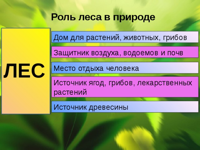 Роль леса в природе Дом для растений, животных, грибов Защитник воздуха, водоемов и почв ЛЕС Место отдыха человека Источник ягод, грибов, лекарственных растений Источник древесины 