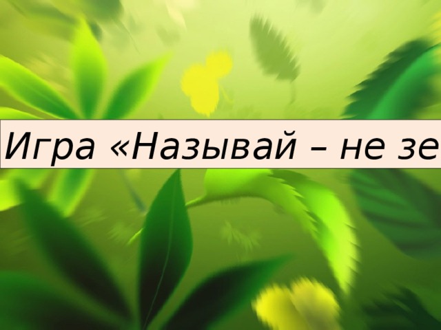 Игра «Называй – не зевай!» 