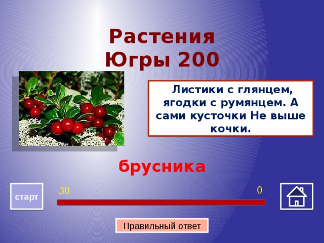 Брусника старт. Растения Югры. Лекарственные растения Югры. Листики с глянцем ягодки с румянцем а сами кусточки не выше Кочки. Цветы Югры.