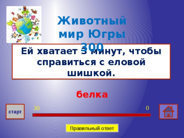 Животный мир Югры 300 Ей хватает 3 минут, чтобы справиться с еловой шишкой. белка 0 30 старт Правильный ответ