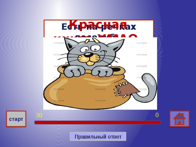 Красная книга ХМАО 300 Есть на речках лесорубы В серебристо-бурых шубах Из деревьев, веток, глины Строят прочные плотины Речной бобр 0 30 старт Правильный ответ