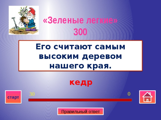 «Зеленые легкие» 300 Его считают самым высоким деревом нашего края. кедр 0 30 старт Правильный ответ