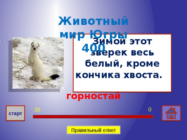 Животный мир Югры 400 Зимой этот зверек весь белый, кроме кончика хвоста. горностай 0 30 старт Правильный ответ