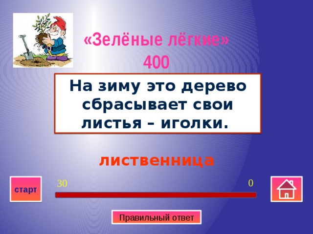 «Зелёные лёгкие» 400 На зиму это дерево сбрасывает свои листья – иголки. лиственница 0 30 старт Правильный ответ