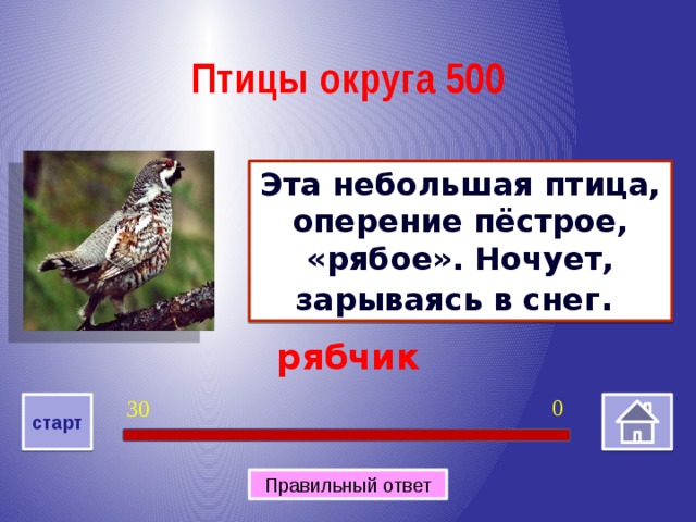 Птицы округа 500 Эта небольшая птица, оперение пёстрое, «рябое». Ночует, зарываясь в снег . рябчик 0 30 старт Правильный ответ