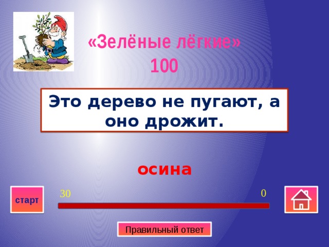 «Зелёные лёгкие» 100 Это дерево не пугают, а оно дрожит. осина 0 30 старт Правильный ответ