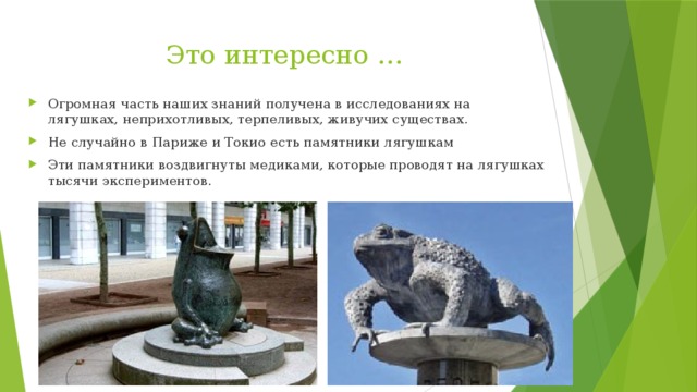 Лягушка памятник токио