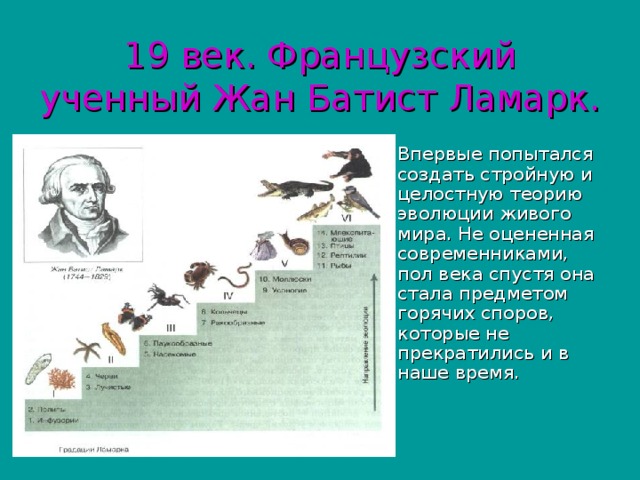 19 век. Французский ученный Жан Батист Ламарк. Впервые попытался создать стройную и целостную теорию эволюции живого мира. Не оцененная современниками, пол века спустя она стала предметом горячих споров, которые не прекратились и в наше время. 