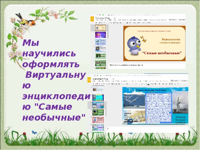 Мы научились оформлять   Виртуальную энциклопедию 