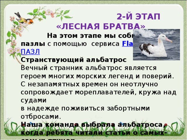  2-Й ЭТАП «ЛЕСНАЯ БРАТВА»  На этом этапе мы собирали пазлы с помощью  сервиса  Flash-gear.com ПАЗЛ Странствующий альбатрос Вечный странник альбатрос является героем многих морских легенд и поверий. С незапамятных времен он неотлучно сопровождает мореплавателей, кружа над судами в надежде поживиться забортными отбросами. Наша команда выбрала альбатроса, когда ребята читали статьи о самых-самых птицах, ведь у него самый большой размах крыльев! Размах крыльев альбатроса в 3 раза больше его тела! 