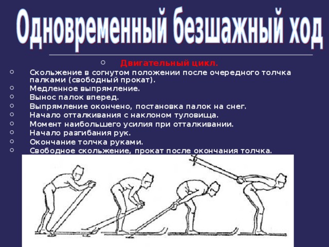 Двигательный цикл. Скольжение в согнутом положении после очередного толчка  палками (свободный прокат). Медленное выпрямление. Вынос палок вперед. Выпрямление окончено, постановка палок на снег. Начало отталкивания с наклоном туловища. Момент наибольшего усилия при отталкивании. Начало разгибания рук. Окончание толчка руками. Свободное скольжение, прокат после окончания толчка.   