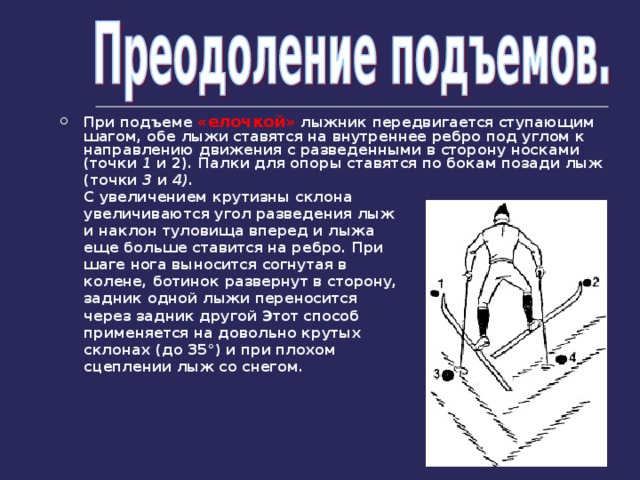 Где ошибка в технике подъема елочкой. Преодоление подъемов на лыжах. Способ подъема лыжника на крутые склоны. Передвижение ступающим шагом на лыжах. Способ подъема в горку когда лыжи ставятся на внутренние ребра.