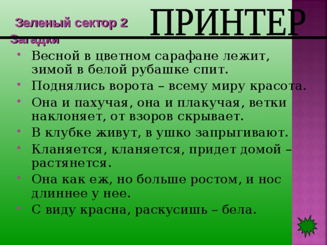 Зеленый сектор 2  Загадки Весной в цветном сарафане лежит, зимой в белой рубашке спит. Поднялись ворота – всему миру красота. Она и пахучая, она и плакучая, ветки наклоняет, от взоров скрывает. В клубке живут, в ушко запрыгивают. Кланяется, кланяется, придет домой – растянется. Она как еж, но больше ростом, и нос длиннее у нее. С виду красна, раскусишь – бела.  