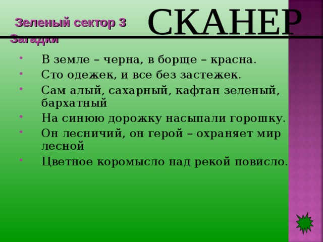  Зеленый сектор 3  Загадки В земле – черна, в борще – красна. Сто одежек, и все без застежек. Сам алый, сахарный, кафтан зеленый, бархатный На синюю дорожку насыпали горошку. Он лесничий, он герой – охраняет мир лесной Цветное коромысло над рекой повисло.   