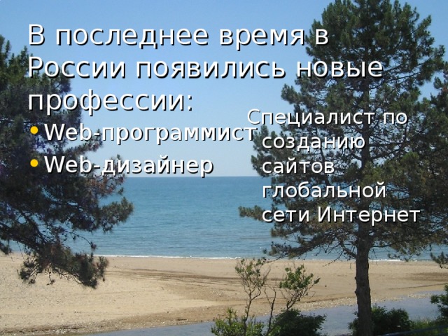 В последнее время в России появились новые профессии: Специалист по созданию сайтов глобальной сети Интернет Web -программист Web- дизайнер
