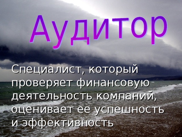 Специалист, который проверяет финансовую деятельность компаний, оценивает ее успешность и эффективность