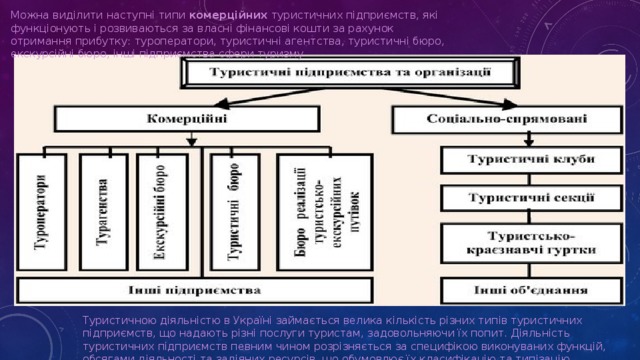 Можна виділити наступні типи  комерційних  туристичних підприємств, які функціонують і розвиваються за власні фінансові кошти за рахунок отримання прибутку: туроператори, туристичні агентства, туристичні бюро, екскурсійні бюро, інші підприємства сфери туризму Туристичною діяльністю в Україні займається велика кількість різних типів туристичних підприємств, що надають різні послуги туристам, задовольняючи їх попит. Діяльність туристичних підприємств певним чином розрізняється за специфікою виконуваних функцій, обсягами діяльності та задіяних ресурсів, що обумовлює їх класифікацію та типізацію . 
