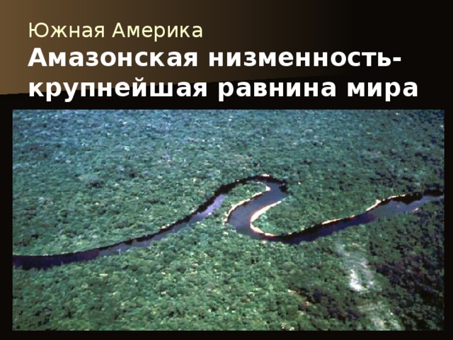 Южная Америка  Амазонская низменность-  крупнейшая равнина мира 