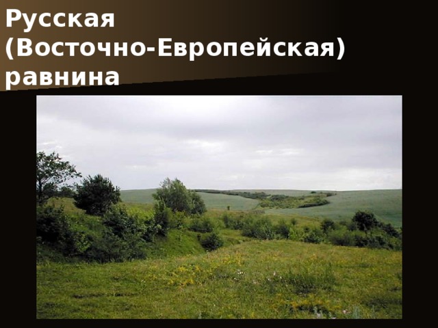 Русская  (Восточно-Европейская)  равнина 