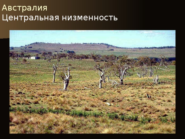 Австралия  Центральная низменность   