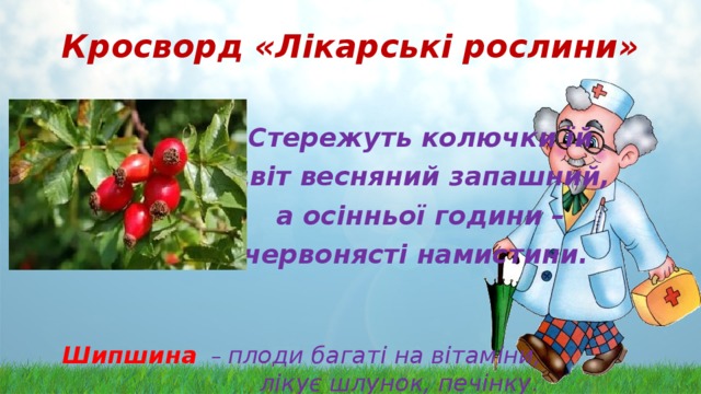 Кросворд «Лікарські рослини»   Стережуть колючки їй  цвіт весняний запашний,  а осінньої години –  червонясті намистини.  Шипшина   – плоди багаті на вітаміни, лікує шлунок, печінку. 