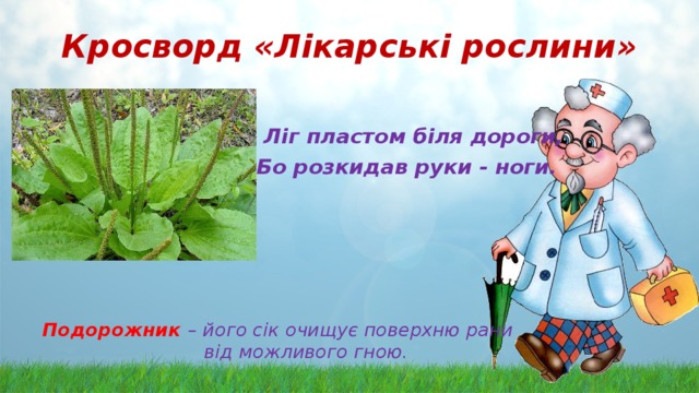 Кросворд «Лікарські рослини»   Ліг пластом біля дороги,  Бо розкидав руки - ноги.     Подорожник  – його сік очищує поверхню рани від можливого гною. 