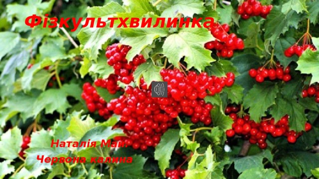 Фізкультхвилинка      Наталія Май.  Червона калина 