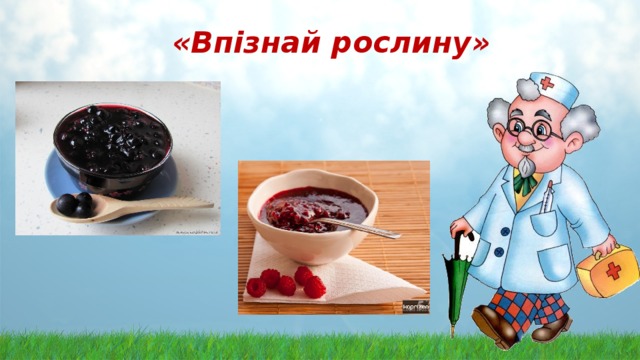  «Впізнай рослину»    