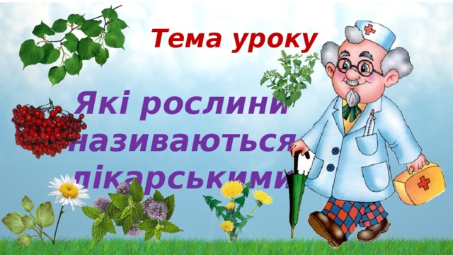  Тема уроку   Які рослини називаються лікарськими 