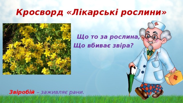 Кросворд «Лікарські рослини»   Що то за рослина,  Що вбиває звіра?    Звіробій  – заживляє рани. 