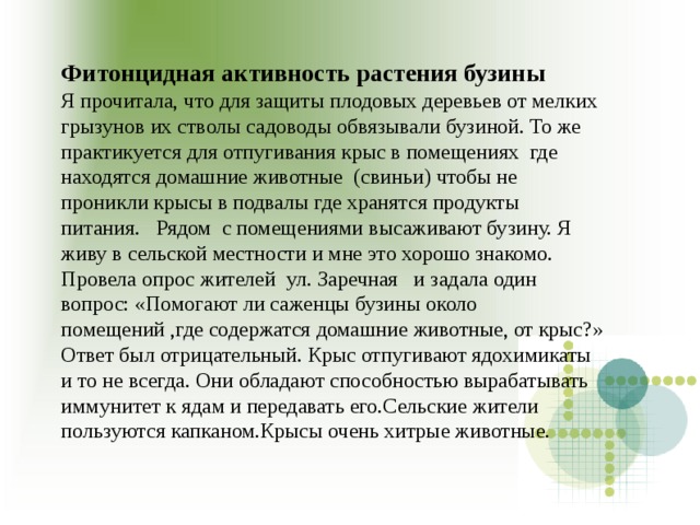 Фитонцидная активность растения бузины Я прочитала, что для защиты плодовых деревьев от мелких грызунов их стволы садоводы обвязывали бузиной. То же практикуется для отпугивания крыс в помещениях где находятся домашние животные (свиньи) чтобы не проникли крысы в подвалы где хранятся продукты питания. Рядом с помещениями высаживают бузину. Я живу в сельской местности и мне это хорошо знакомо. Провела опрос жителей ул. Заречная и задала один вопрос: «Помогают ли саженцы бузины около помещений ,где содержатся домашние животные, от крыс?» Ответ был отрицательный. Крыс отпугивают ядохимикаты и то не всегда. Они обладают способностью вырабатывать иммунитет к ядам и передавать его.Сельские жители пользуются капканом.Крысы очень хитрые животные. 