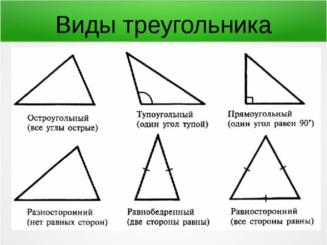 Виды треугольника 